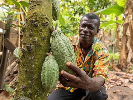 Cocoa Stories | Cargill