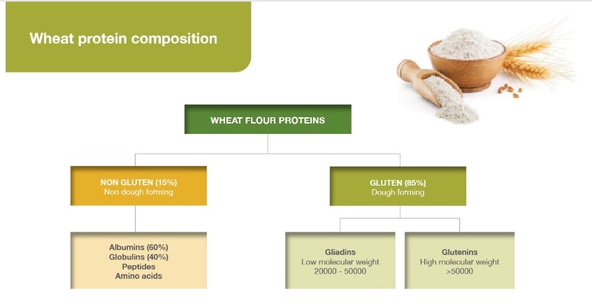 Wheat Protein Cargill