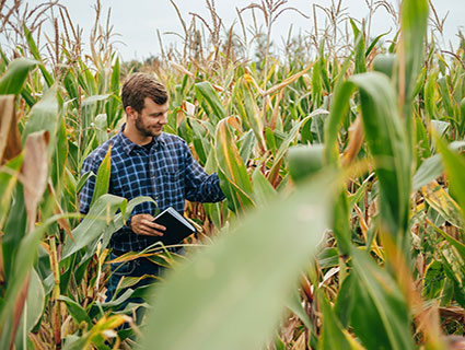 Sustainability in Production & Supply Chain | Starches, Sweeteners ...