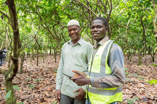 Ending deforestation: Inside our cocoa supply chain progress